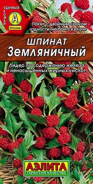 ШПИНАТ ЗЕМЛЯНИЧНЫЙ. Семена. Неприхотливое, холодостойкое растение со съедобными листьями и плодами.  #1