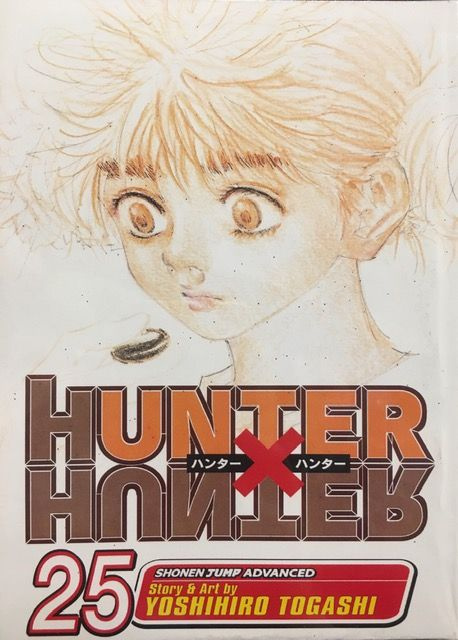 Hunter x Hunter. Том 25. Хантер x Хантер. На русском языке. Фабричное издание!  #1