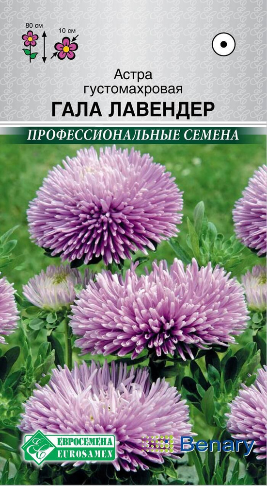 Семена Астра ГАЛА Лавендер густомахровая (10 шт) #1