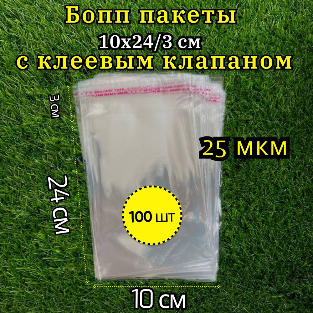 Бопп пакеты с клеевым клапаном 10х24 100 шт / Упаковочный пакет  #1