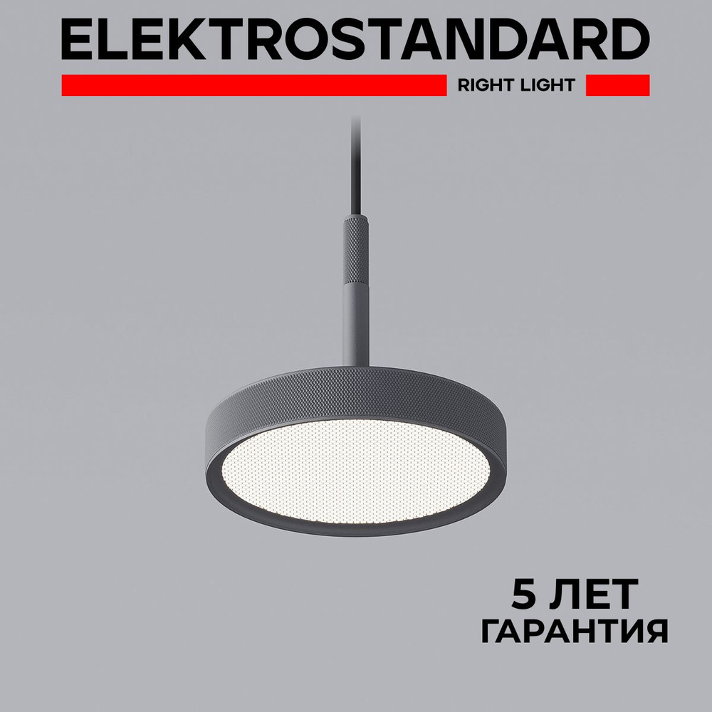 Подвесной светильник светодиодный в современном стиле Elektrostandard Plate 50260 LED графит  #1