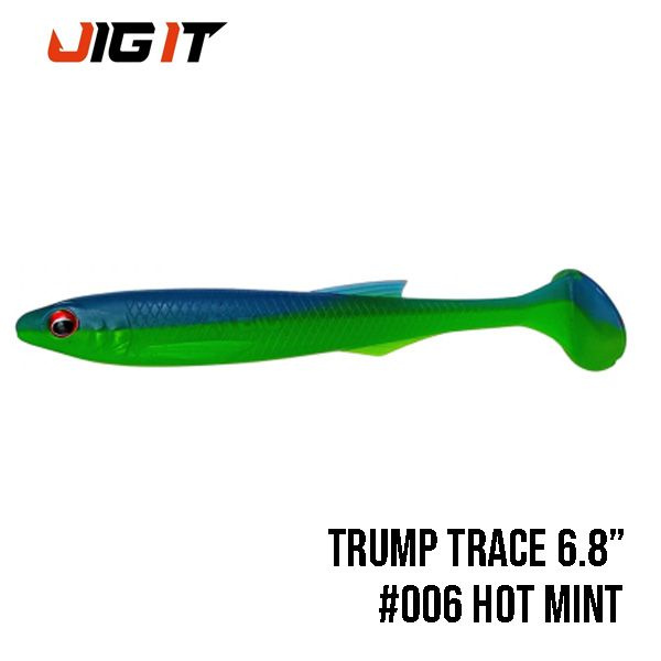 Силиконовая приманка Jig It Trump Trace 6.8" 170mm #1