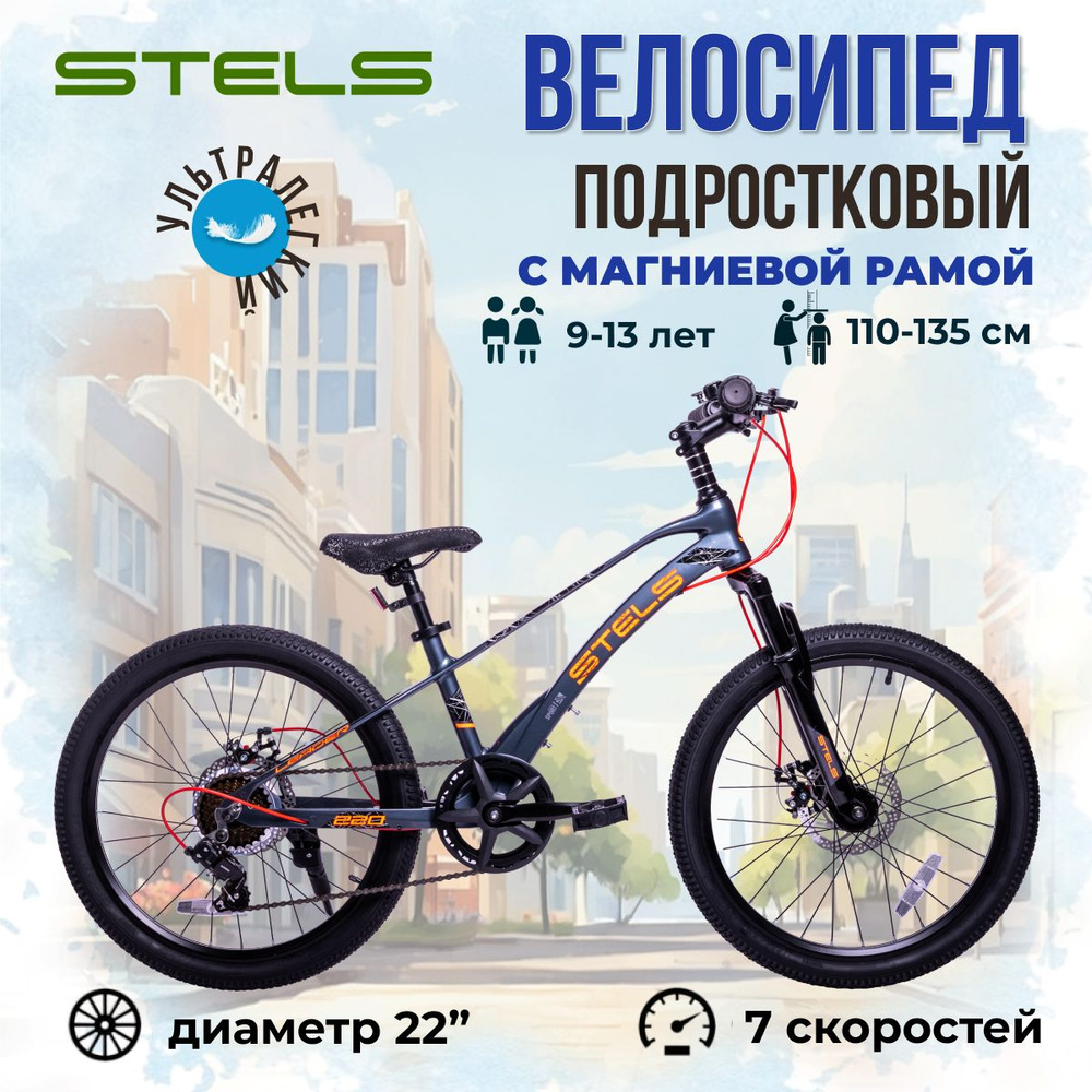 Велосипед детский Stels Leader-220 MD магниевая рама 22" Z010 2023 года серый  #1