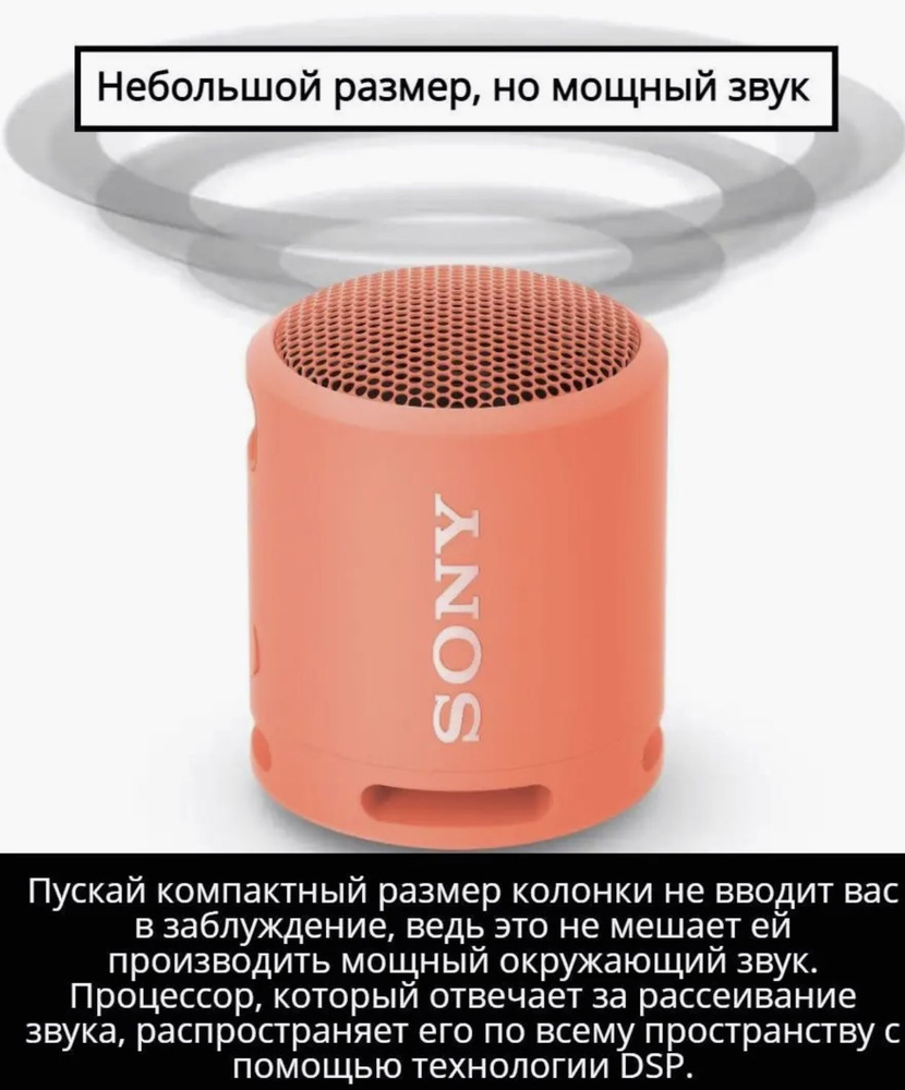 Портативная колонка Sony SRS XB-13 #1