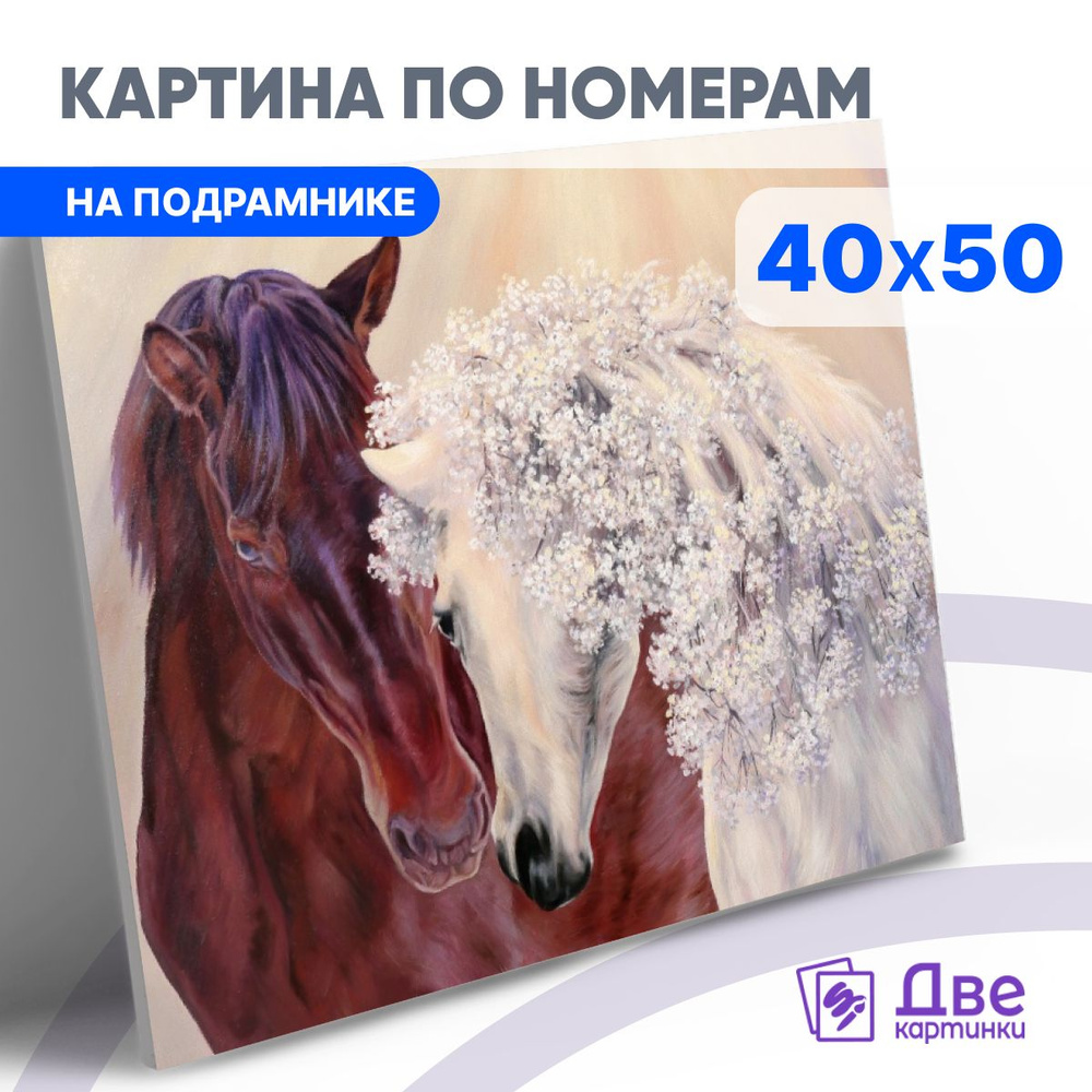 Картина по номерам 40х50 см на подрамнике "Конь и его белая лошадь" DVEKARTINKI  #1