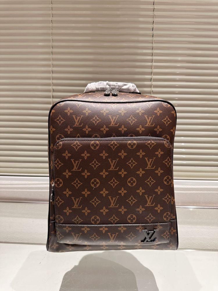 Louis Vuitton Рюкзак #1