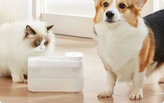 Xiaomi умная АВТОНОМНАЯ автопоилка для животных Mijia Smart Pet Water Dispenser 3L (XWWF02MG), белый #1