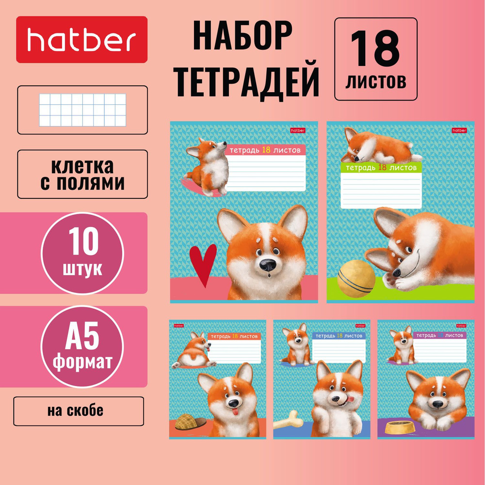 Набор тетрадей Hatber 18 листов, формата А5, в клетку, 65 г/кв. м, на скобе, тиснение, 10 штук/5 дизайнов #1