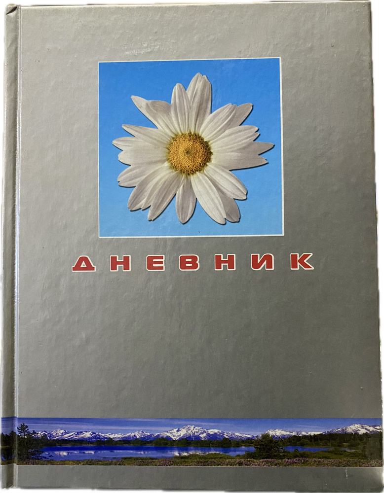  Дневник школьный, листов: 49 #1