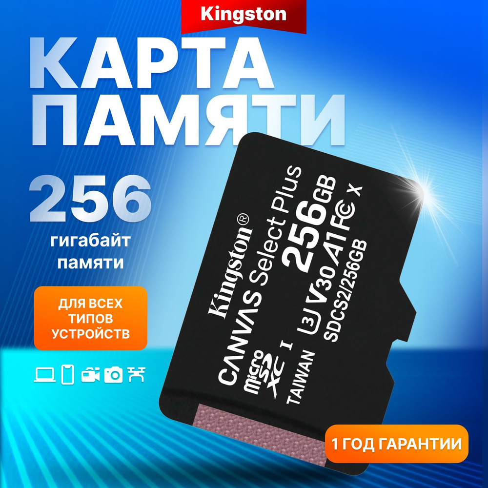 Kingston карта памяти Micro SD256GB Canvas Select Plus, Class 10 A1 (100 Mb/s) + SD адаптер / SDCS2/256GB #1