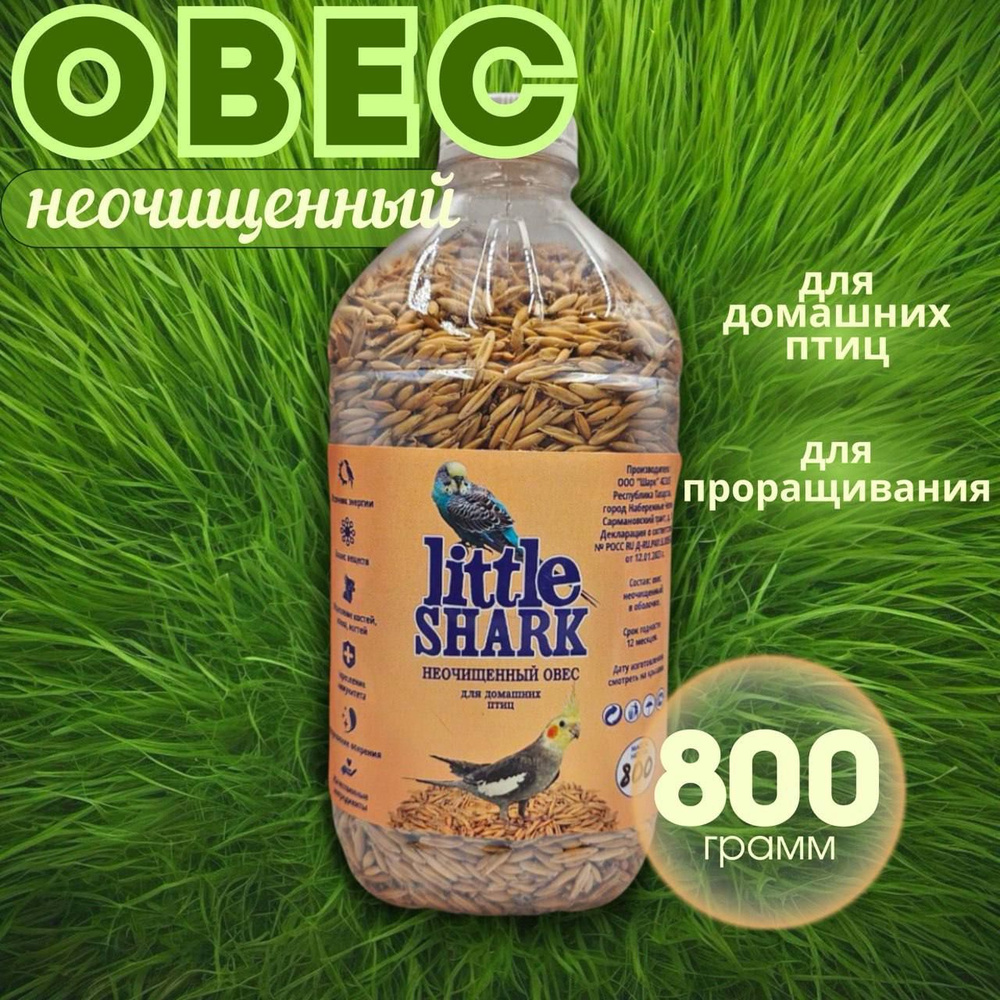 Овёс 800 гр в оболочке для проращивания, для птиц и животных, для заваривания, настоев и отваров  #1