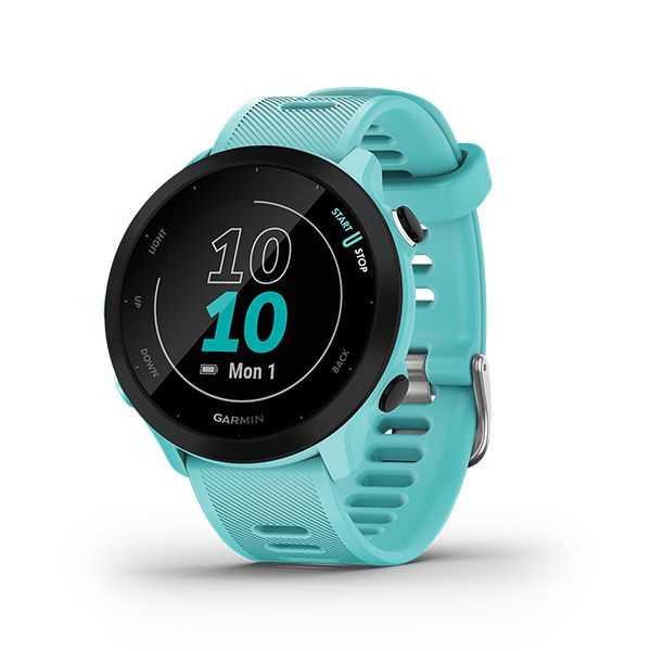 Garmin Умные часы Garmin Forerunner 55 aqua, grey #1