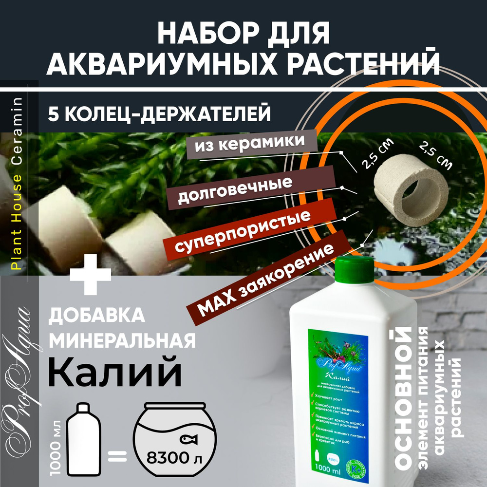 Набор для аквариумных растений: 5 колец-держателей Plant House Ceramin (высота - 2,5 см, диаметр - 2,5 #1