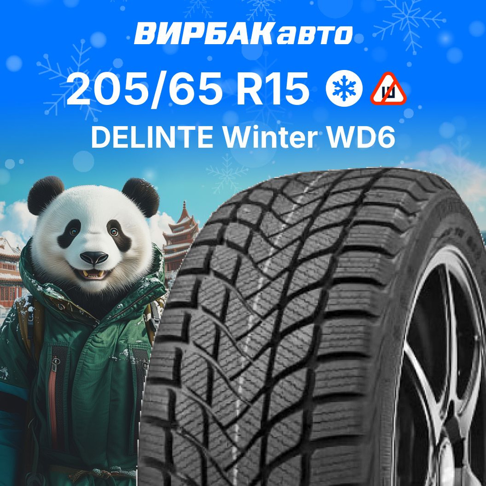 Delinte Winter WD6 Шины  зимние 205/65  R15 94H Нешипованные #1