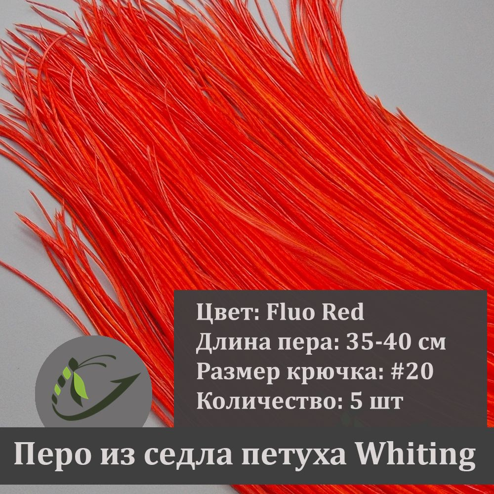 Перо петуха Whiting для вязания мушек, 5 шт, крючок #20, 35-40 см, цвет Fluo Red  #1