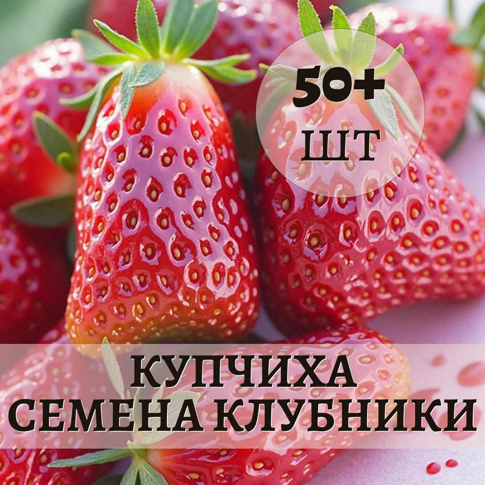 Семена клубники Купчиха, 50шт #1