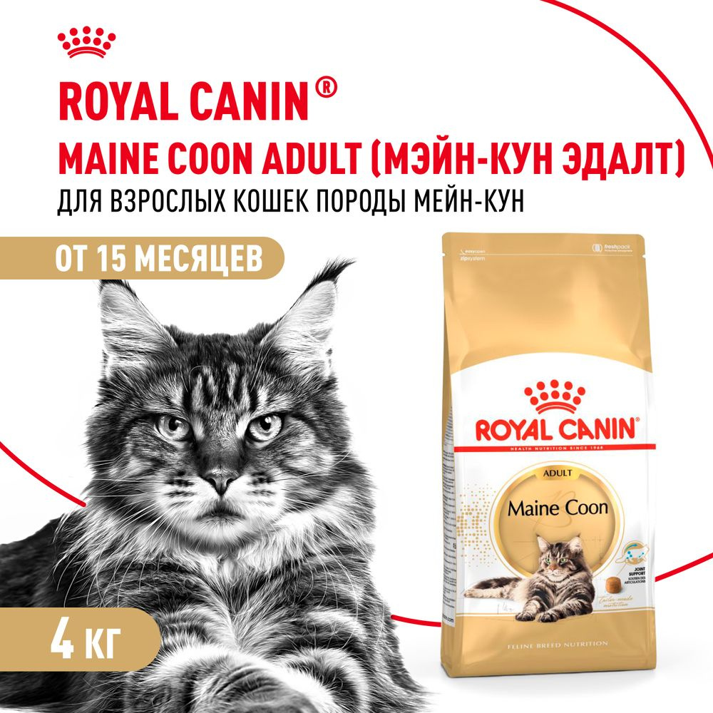 Royal Canin Maine Coon Adult для кошек породы мейн-кун #1