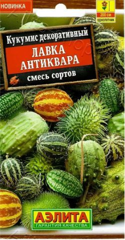 Кукумис декоративный Лавка антиквара ( 1 упаковка ), смесь окрасок  #1