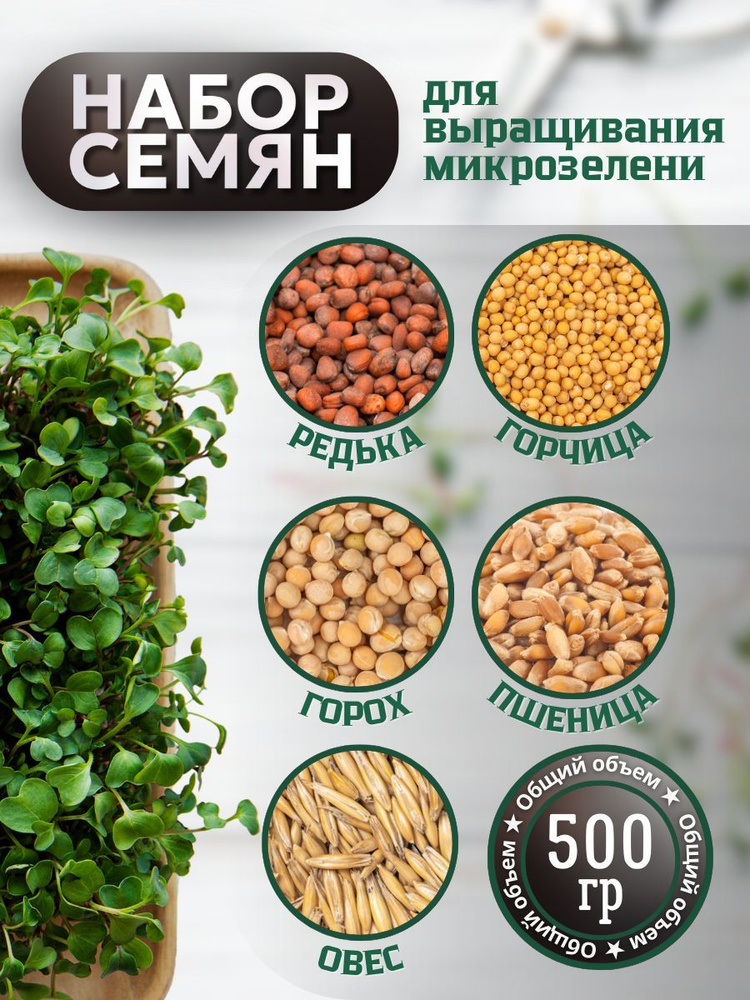 Семена микрозелень набор для проращивания 5 культур 500 гр  #1