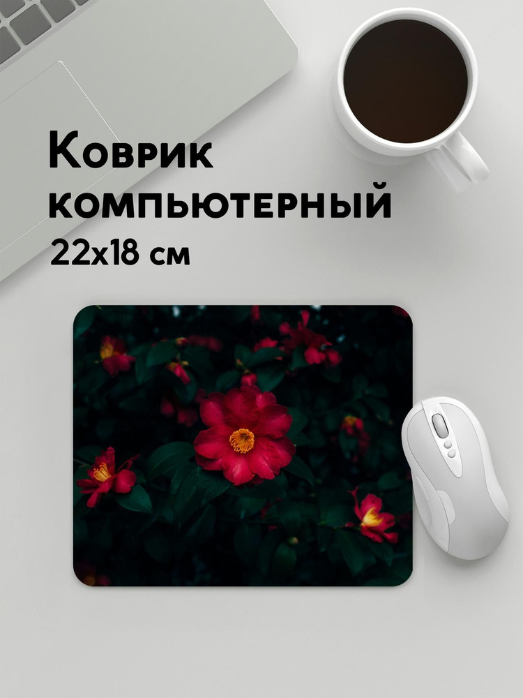 PANiN Коврик для мыши MousePad22x18WC_WC148757, черный матовый, черный  #1