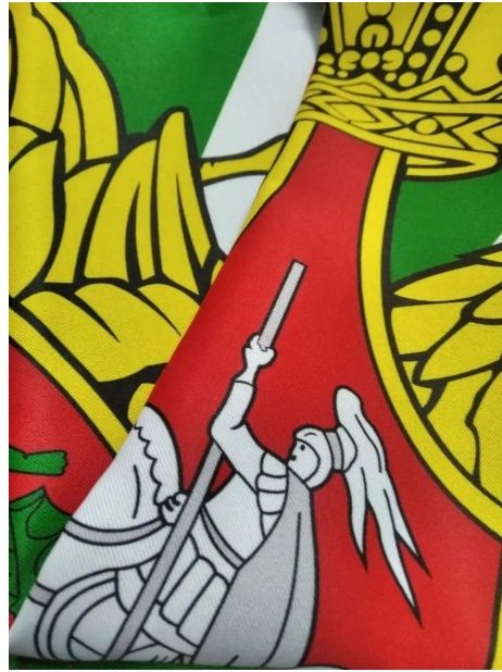 Под флагом Родины - В.Д. Сайфуллин Под флагом Родины - В.Д. Сайфуллин L-1200.1.5.jpg