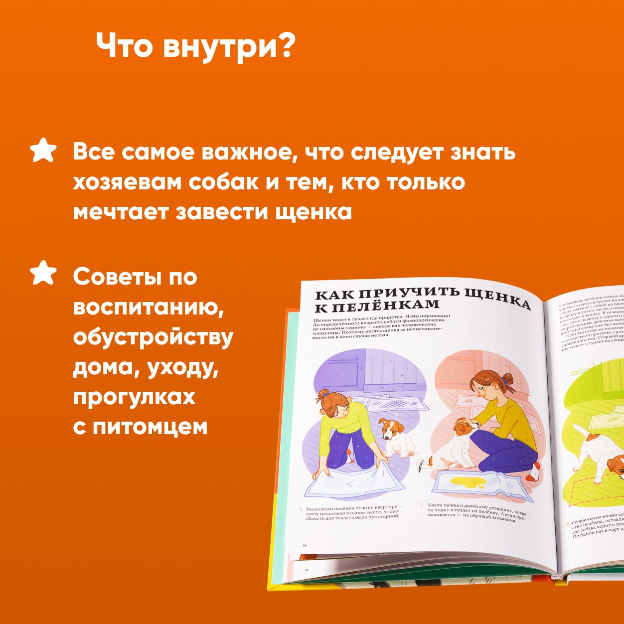 Секреты собак. Как понять собаку и стать ей другом | Secrets of Dogs: How to Understand Your Dog and Become Its Friend - Ozon image 1