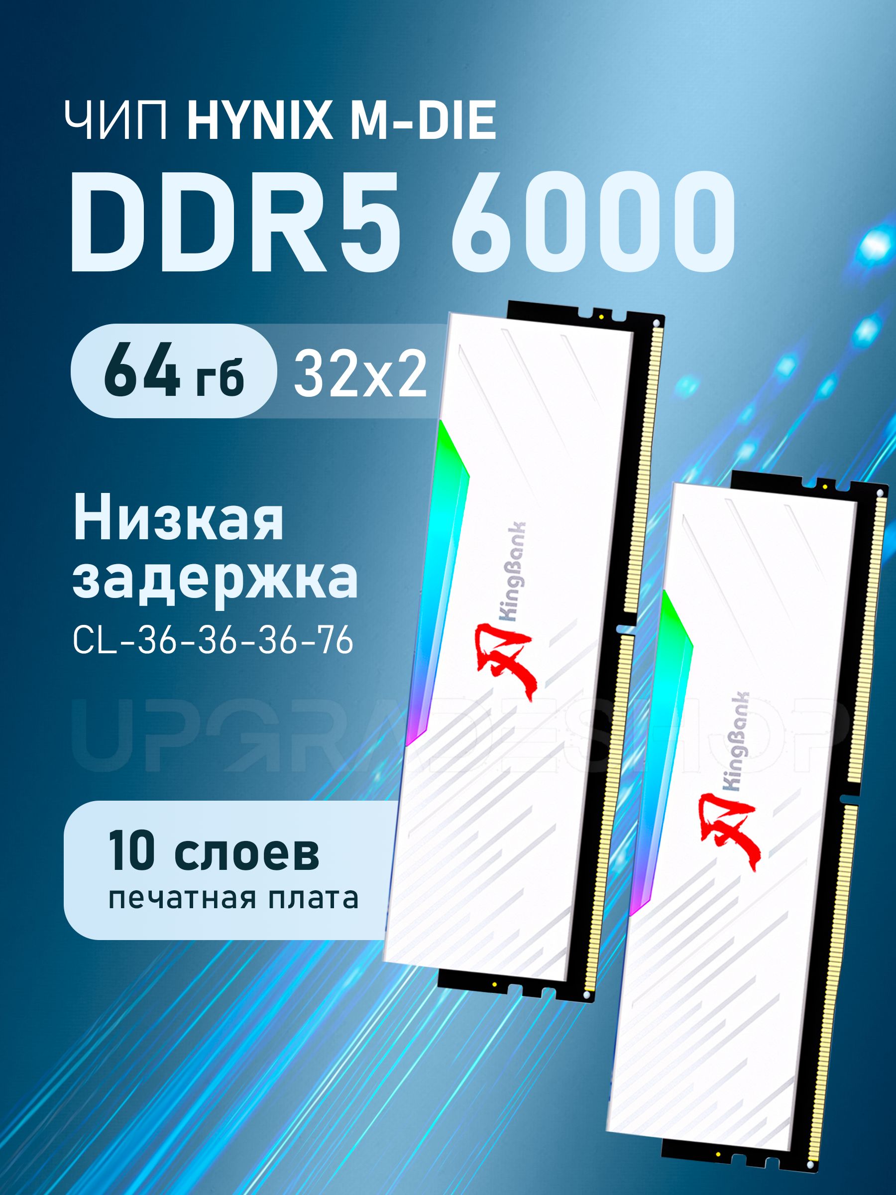 KingBankОперативнаяпамятьDDR5WhiteSoarBladeRGBHeatsinkKRRWHynixM-die6000MHz/CL36/2x32ГБ(K5.01.FLM5EE9301)