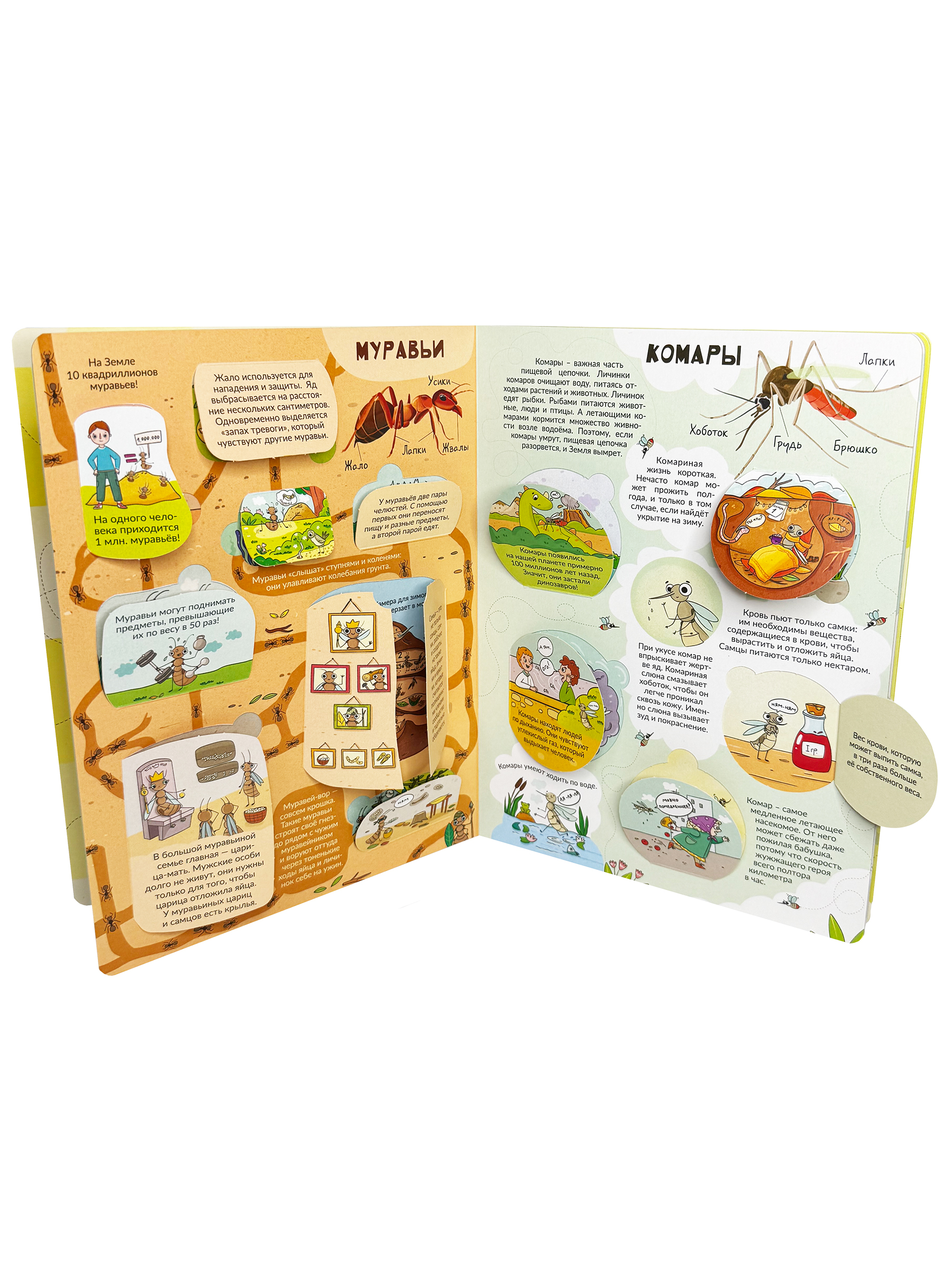 Книга детская энциклопедия с окошками Виммельбух | My First Book About Insects - Ozon image 7