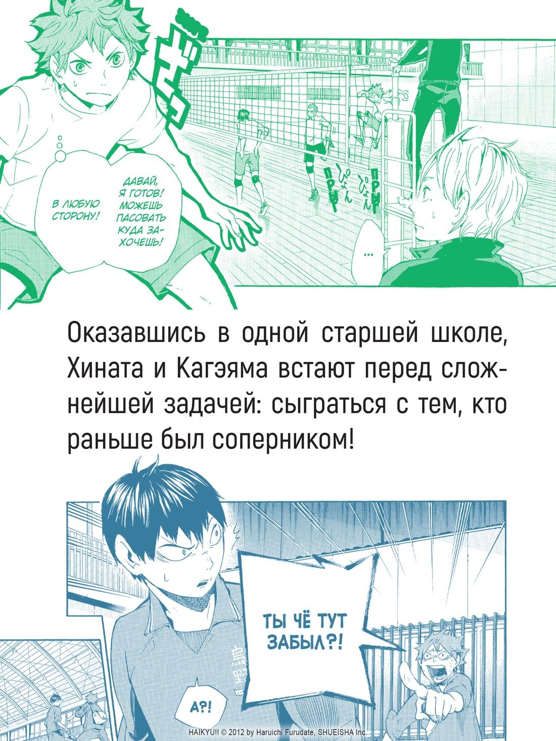 Волейбол! Книга 1. Хината и Кагэяма. Вид с высоты | Haikyu!!, Vol. 1: Hinata and Kageyama - Ozon image 5