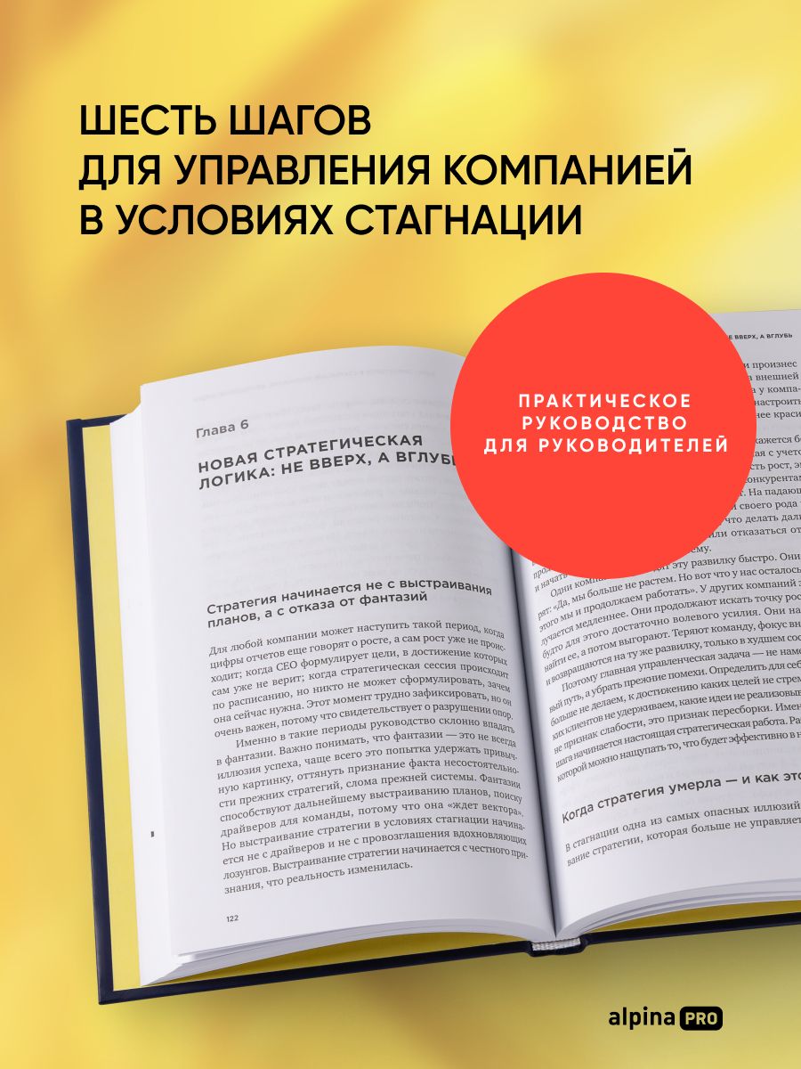 Когда рынок спит. Шесть шагов руководителя в условиях стагнации | When the Market Sleeps: Six Managerial Steps in Conditions of Stagnation - Ozon image 2