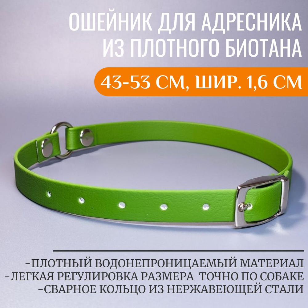 R-Dog ошейник для адресника из плотного биотана, цвет оливковый, 43-53 см, ширина 1,6 см  #1