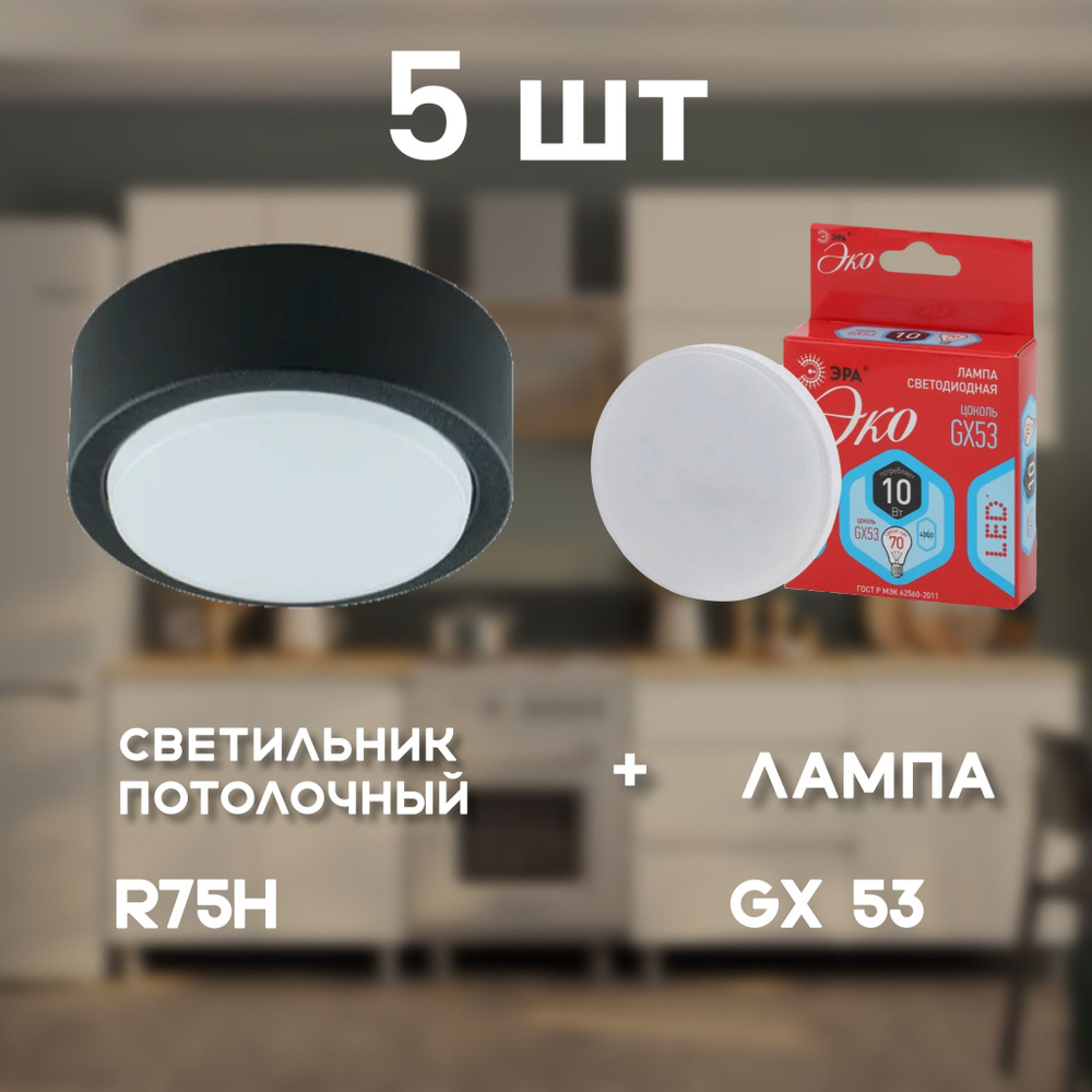 Потолочный светильник черный СВЕТКОМПЛЕКТ R75H BK + Лампочка ЭРА GX53 10W 4000K  #1