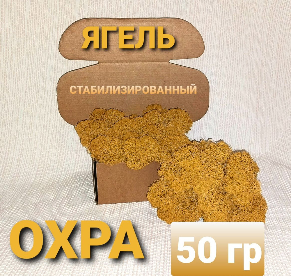 Сухоцветы Мох, 50 гр, 1 шт #1