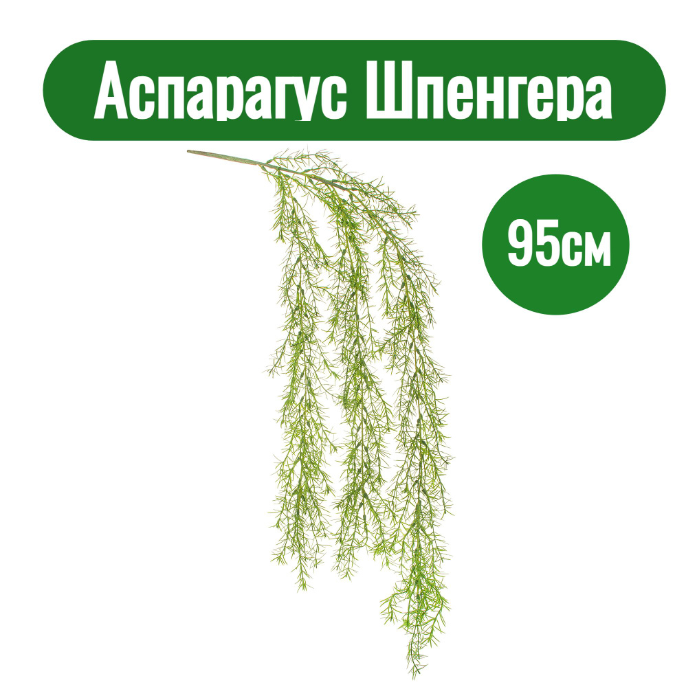 Искусственное растение для декора Аспарагус Шпенгера высота 95 см  #1