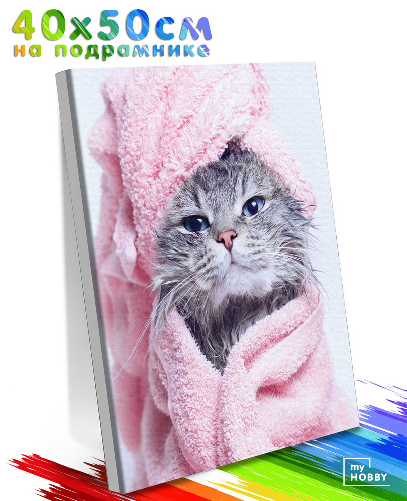 Картина по Номерам на Холсте 40х50 см Colibri Кошка в Полотенце Животные С Подрамником для Детей и Взрослых #1