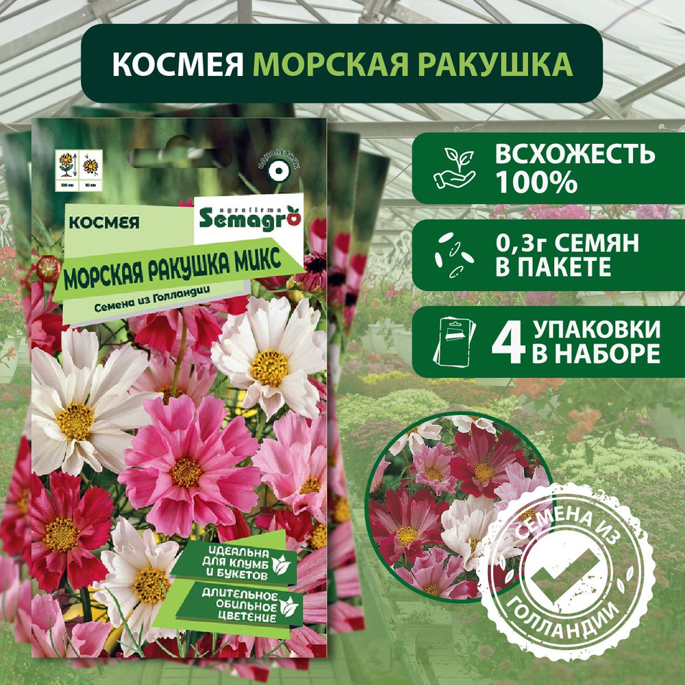 Семена космеи Морская ракушка микс SEMINIS, 4 пакета, (0,3 г семян в одном пакете), Голландия  #1