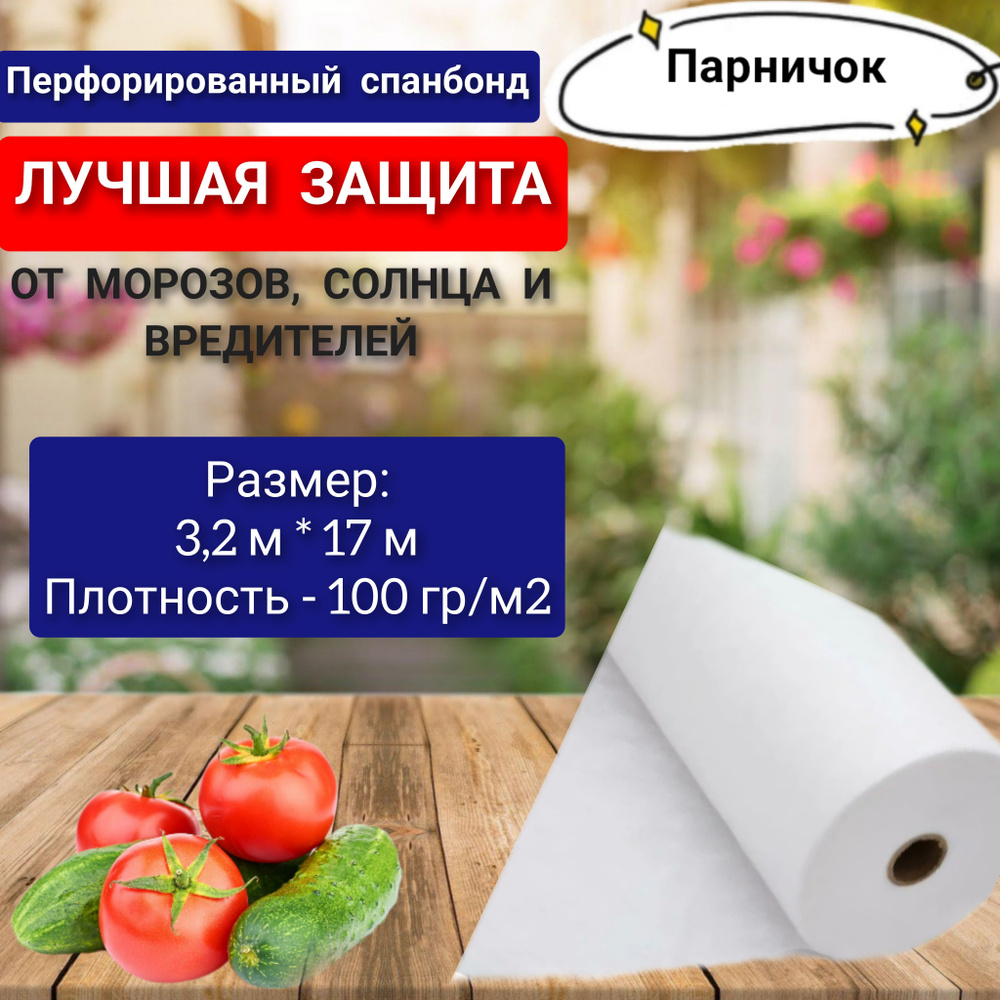 Парничок Укрывной материал Спанбонд, 3x17 м, 100 г-кв.м, 1 шт  #1