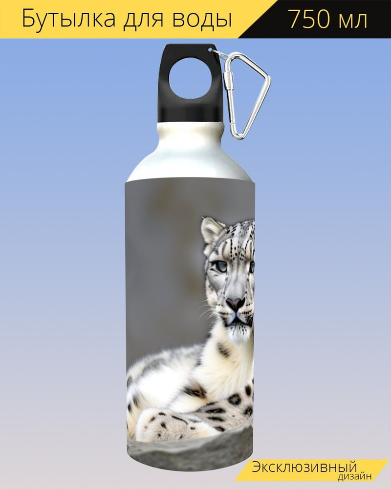 бутылка для воды любителям животных "Животные, снежный барс, уставший" для походов и отдыха, 750мл.  #1