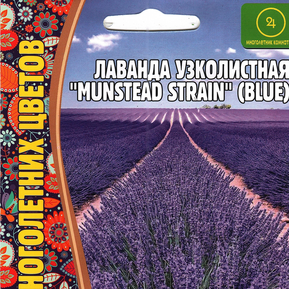 Лаванда узколистная MUNSTEAD STAIN BLUE ( 1уп: 30 семян ) #1