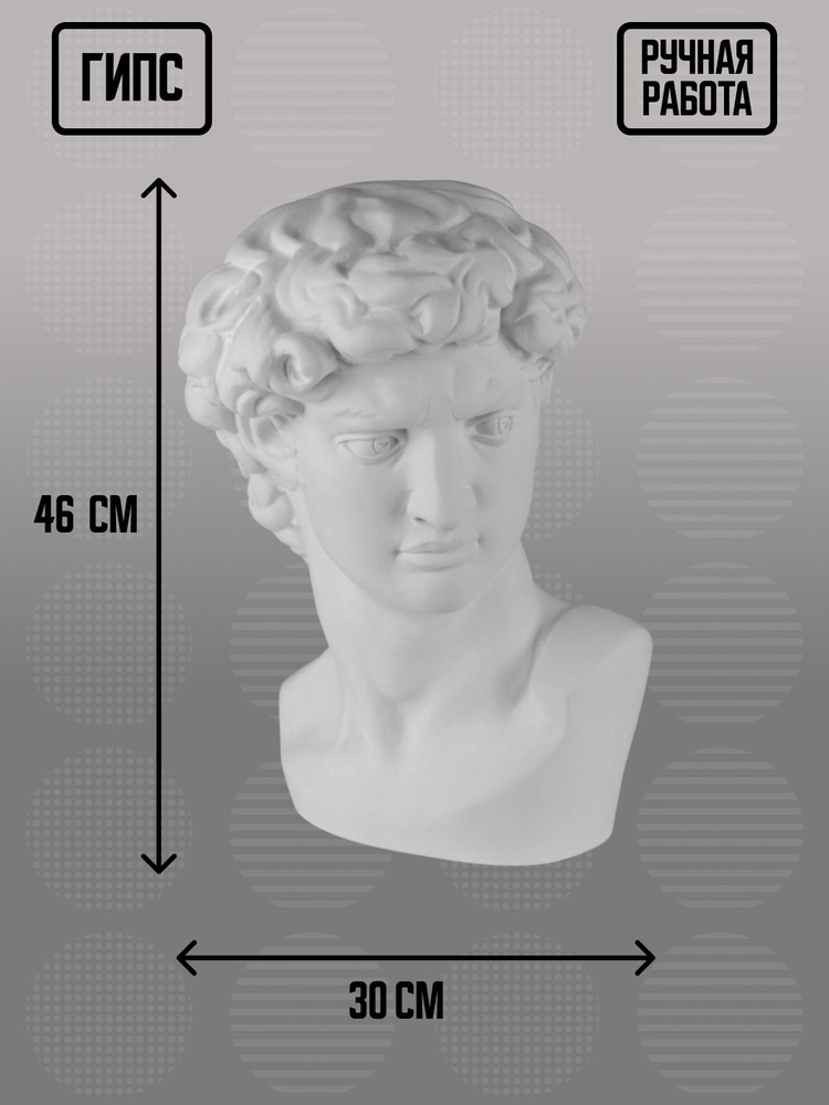 Гипсовая фигура голова Давида, Микеланджело, 30х28х46 см #1
