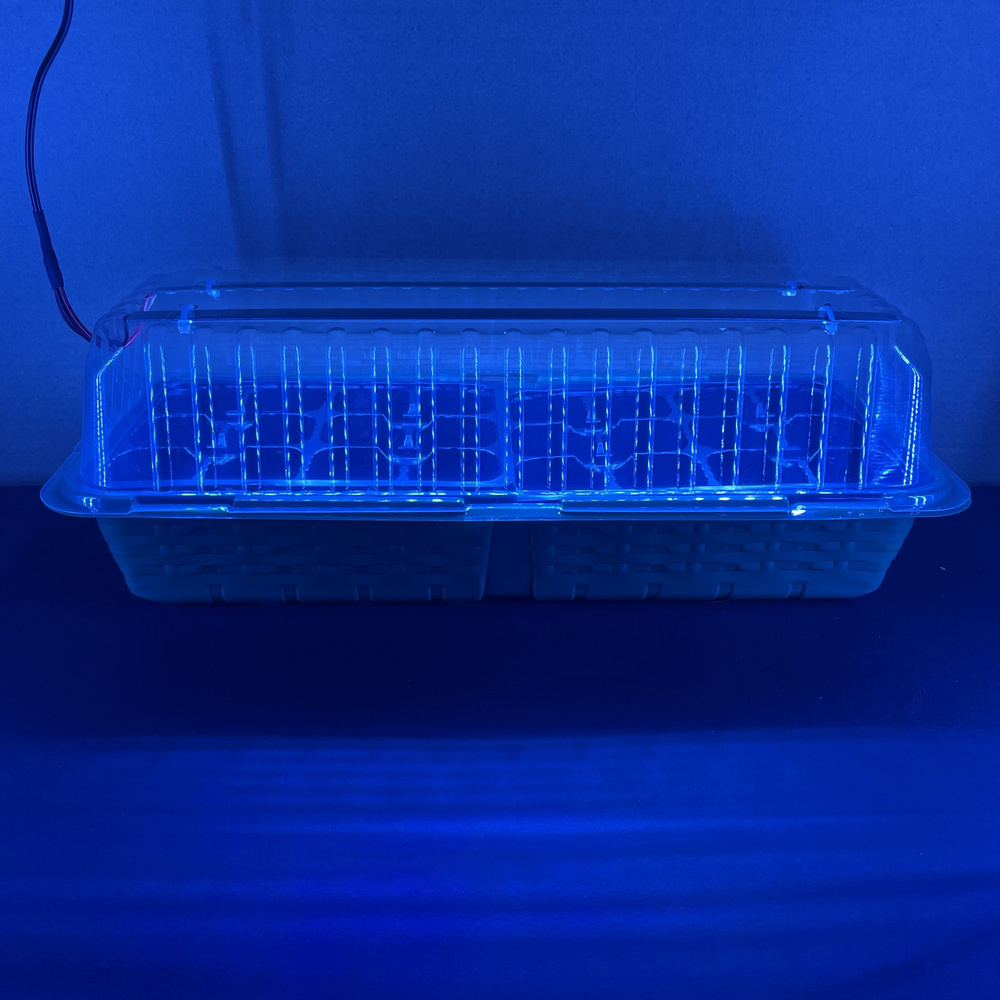 Мини-парник 24 ячейки с подсветкой "голубой лёд" для микрозелени и рассады  #1