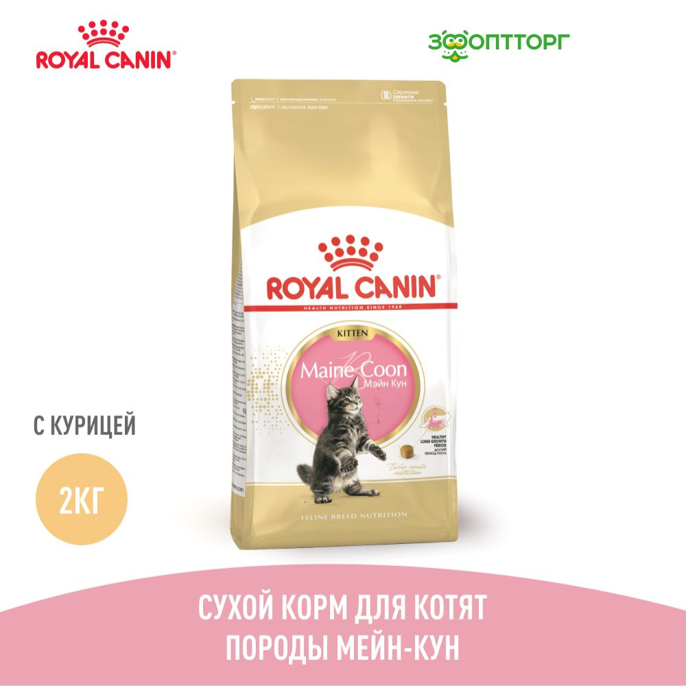 Сухой корм Royal Canin Maine Coon Kitten для котят породы мейн-кун, с курицей, 2 кг  #1