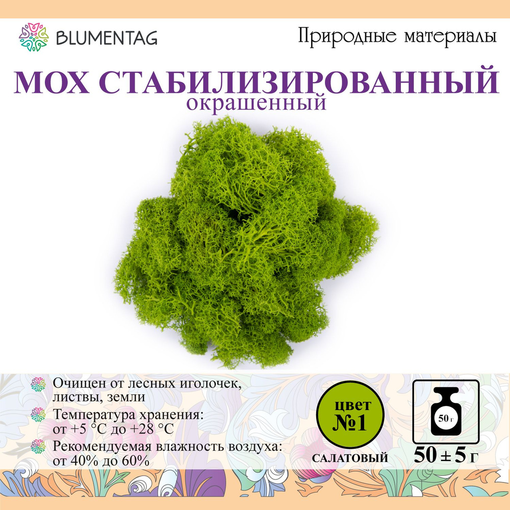 Мох стабилизированный окрашенный "Blumentag" BMSR-50 50 г №01 салатовый  #1