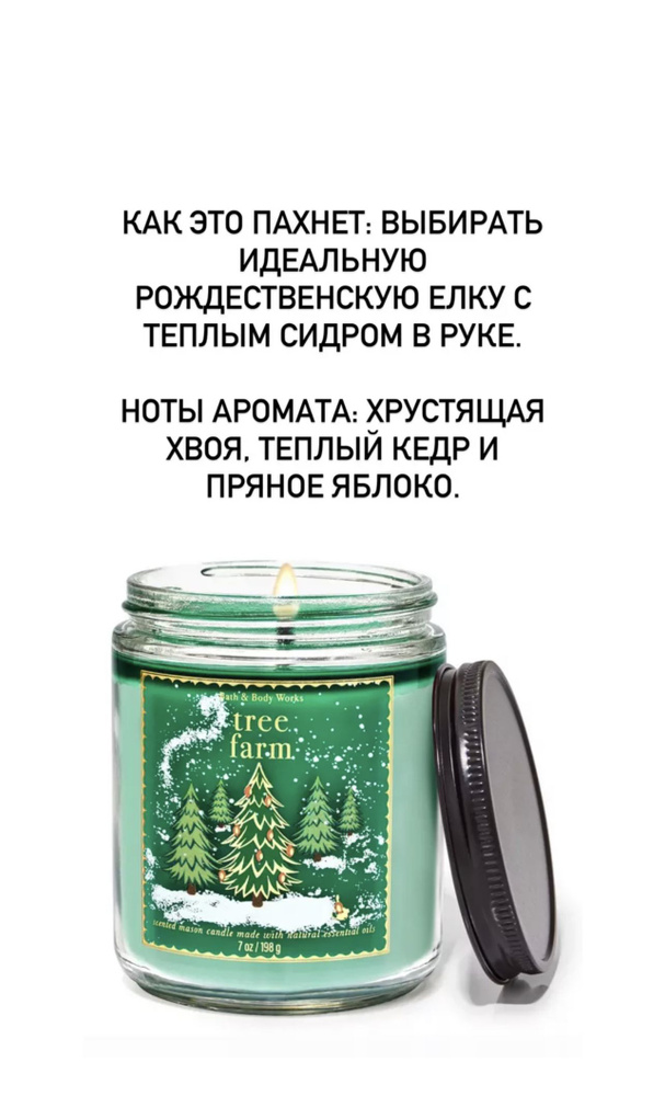 Bath and Body Works Свеча ароматическая "Tree farm", 11 см, 1 шт #1