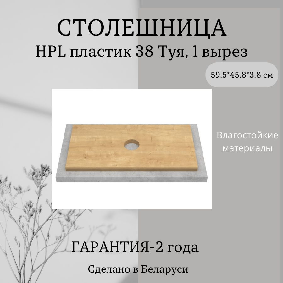 ЗОВ Столешница для раковины,HPL пластик,458х595х38мм #1