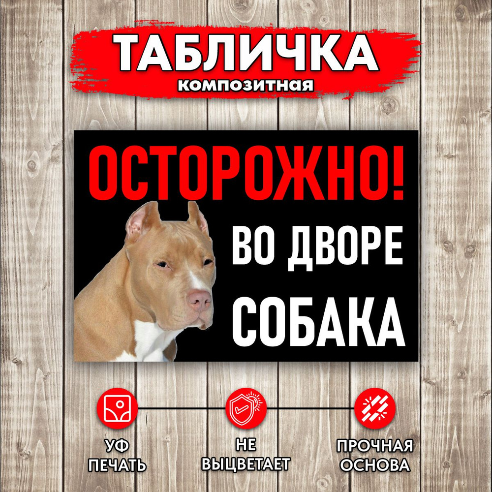 Табличка Осторожно Во дворе собака #1