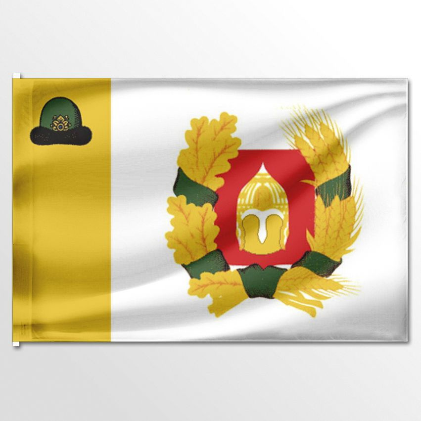 Флаг ЦТП ФЕНИКС Александро-Невского района 135x90 см #1