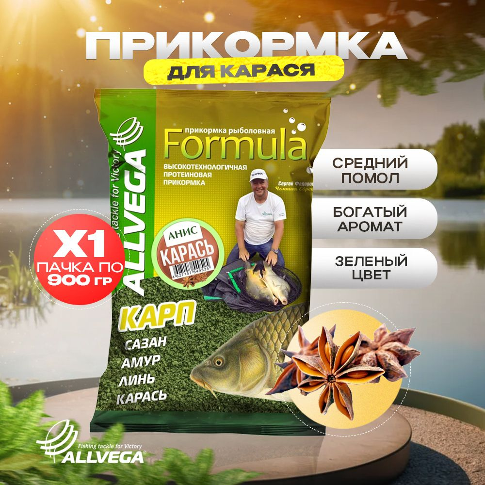 Прикормка для рыбалки на карася ALLVEGA Formula АНИС #1