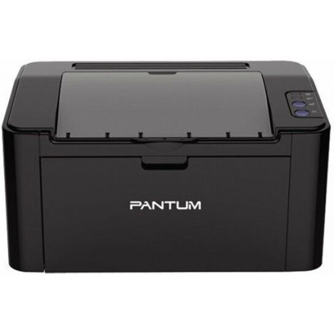 Pantum Принтер лазерный P2207, черный #1