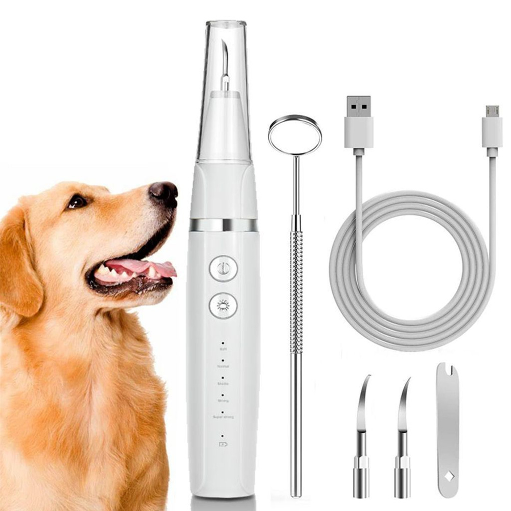 Скалер ультразвуковой электрический беспроводной домашний для удаления ...